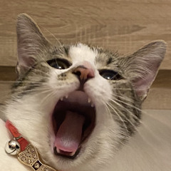christianbean