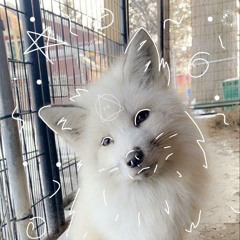 💫Star💫