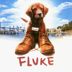 Fluke Dukem