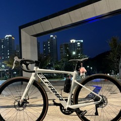 전손달려의 앨파마