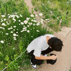 𝕊ℍ𝔸ℍ𝔼𝔻 ヅ