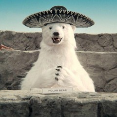 El Oso Loko