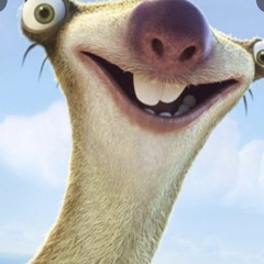 sean melitzer