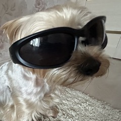 linkaaaaa