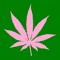 ☆ 420 KENDOLL ☆