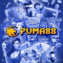 PUMA88