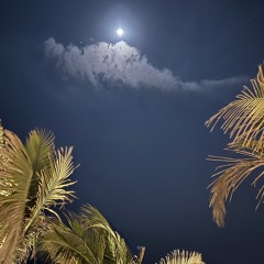 محمد عبده