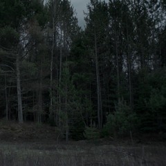 supreme darkness 🔇