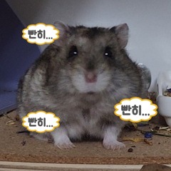 삼칠이
