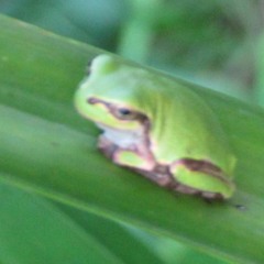 中庭セッション