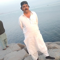 Sharaf Tareen