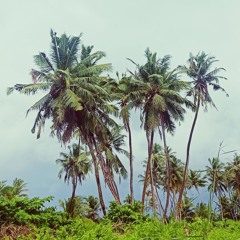 ₗ💗ᵥₑₗy ₖᵤdₑy 💗