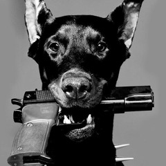 Dobermann069