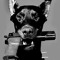 Dobermann069