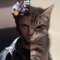roxx_ie