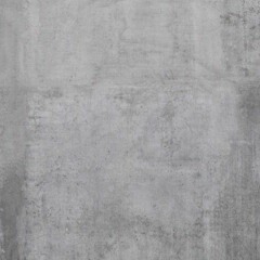 Cecelia T. Shengelaia