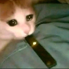 ᥊ᥴꪑ᥊𝘴 𝓲𝘴 𝘴᭙ꪖᧁ