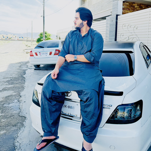 شاہ حسنین وردگ⚜️’s avatar