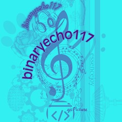 binaryecho117