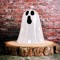 Spooky
