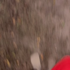 KASHËEË/Kashedy