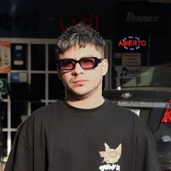 Groovy Cat (MX)