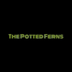 The Potted Ferns