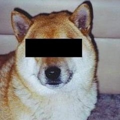 cosmicpups