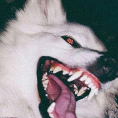 𝕱𝖔𝖝𝖎𝖓𝖓