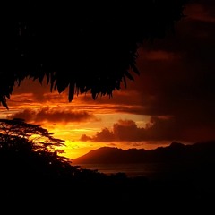 ioane_607