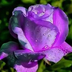 اغانى