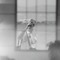 Figureskater