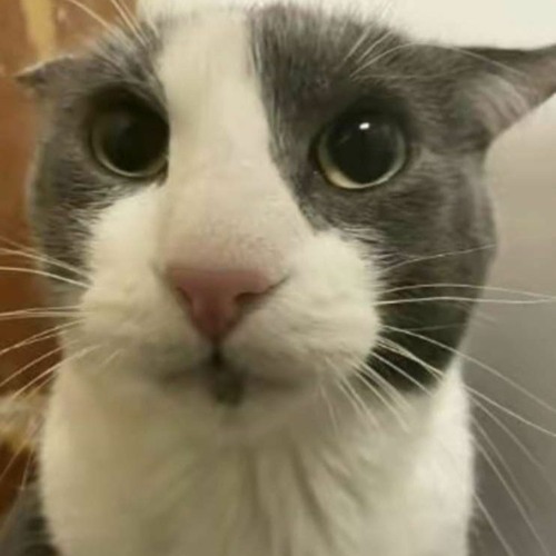 B-Complex  Beautiful Lies (DnB Rap remix, but good)