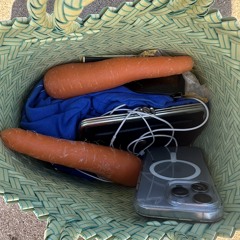 Matilda Morrall 🐕