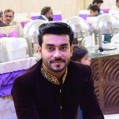 Mohsin MeHdii Rizvee