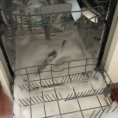 lint trap