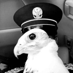 🖤𝓐𝓛𝓚𝓐𝓑𝓘🖤