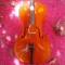 Cello Adventures