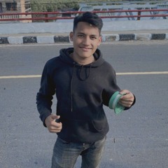 PALDESSZ
