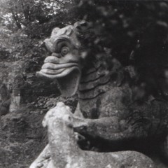 Niccolò Di Gregorio