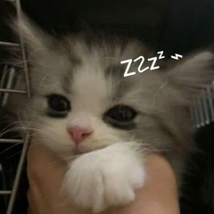 Toteris