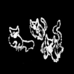 SWALLOWING 23 DOGS WHOLE