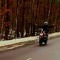 Олександер Несвіт