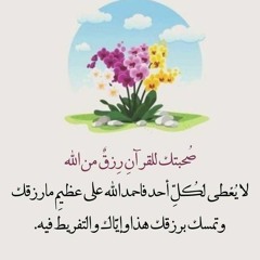 User 85