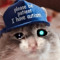 The Autistic Cat