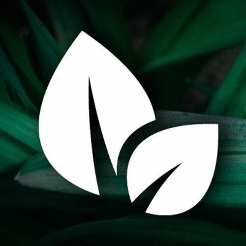 Stream JL music | Listen to songs, albums, playlists for free on SoundCloud