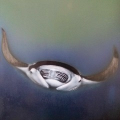 divers