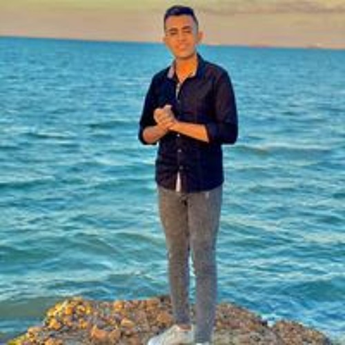 Alaa Mahmoud’s avatar