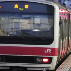 SEIBUKORIN ZONE