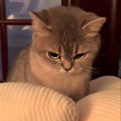 Khamai Chuemuengphan